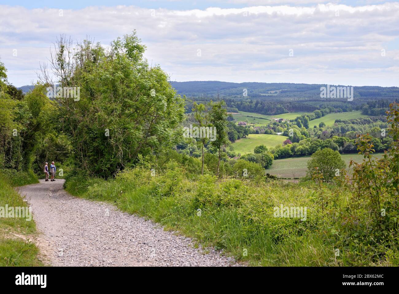 La vue de Newlands Corner dans les collines de Surrey en regardant vers les North Downs au loin, près de Guildford Angleterre Royaume-Uni Banque D'Images