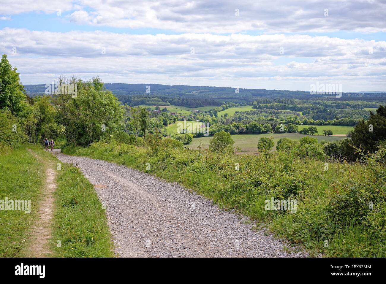 La vue de Newlands Corner dans les collines de Surrey en regardant vers les North Downs au loin, près de Guildford Angleterre Royaume-Uni Banque D'Images
