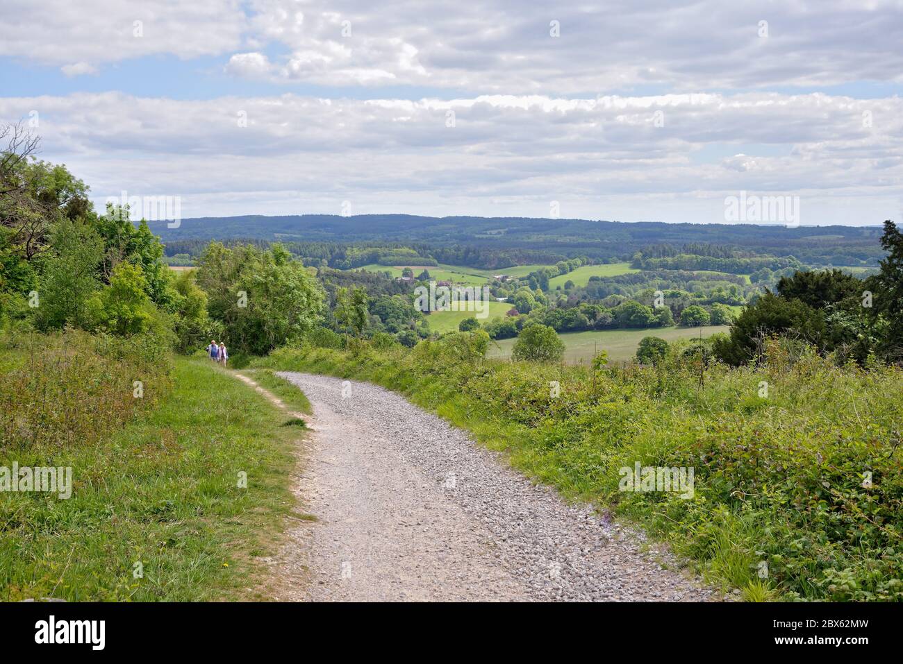 La vue de Newlands Corner dans les collines de Surrey en regardant vers les North Downs au loin, près de Guildford Angleterre Royaume-Uni Banque D'Images