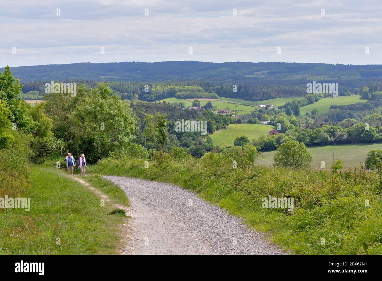 La vue de Newlands Corner dans les collines de Surrey en regardant vers les North Downs au loin, près de Guildford Angleterre Royaume-Uni Banque D'Images