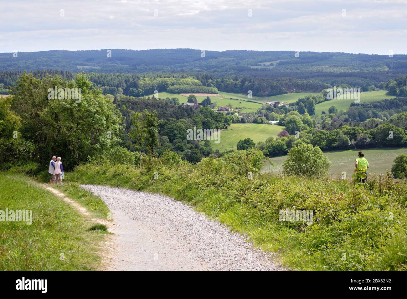 La vue de Newlands Corner dans les collines de Surrey en regardant vers les North Downs au loin, près de Guildford Angleterre Royaume-Uni Banque D'Images