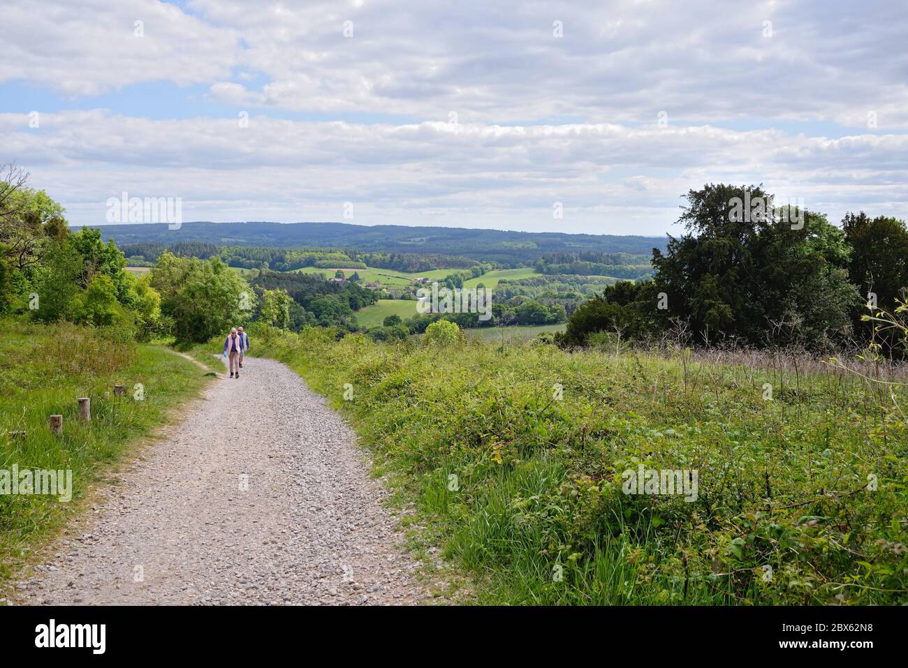 La vue de Newlands Corner dans les collines de Surrey en regardant vers les North Downs au loin, près de Guildford Angleterre Royaume-Uni Banque D'Images
