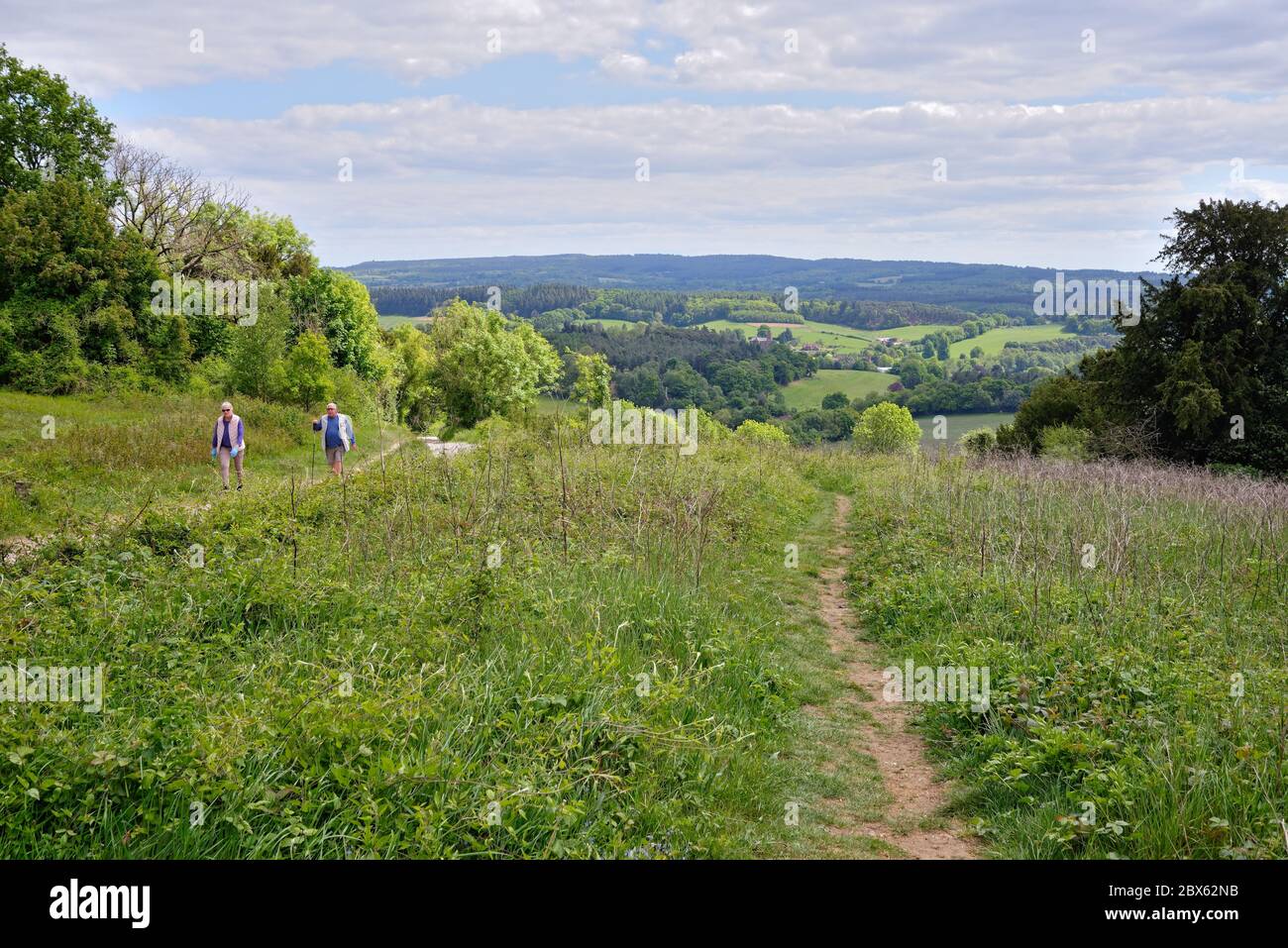 La vue de Newlands Corner dans les collines de Surrey en regardant vers les North Downs au loin, près de Guildford Angleterre Royaume-Uni Banque D'Images