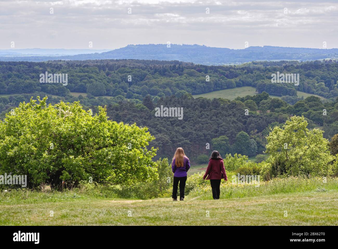 La vue de Newlands Corner dans les collines de Surrey en regardant vers les North Downs au loin, près de Guildford Angleterre Royaume-Uni Banque D'Images