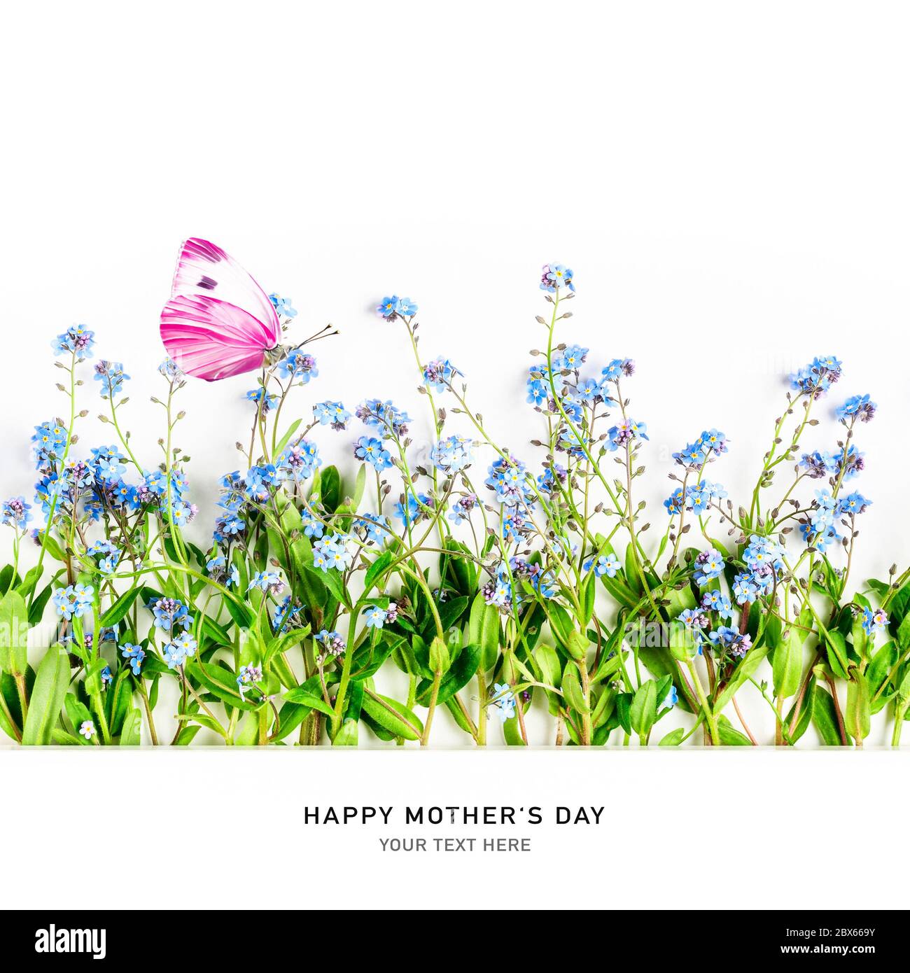 Carte de fête des mères avec Forget Me pas de fleurs bleues et de papillons roses sur fond blanc. Aménagement créatif et concept de vacances. Elément de conception, vue de dessus Banque D'Images