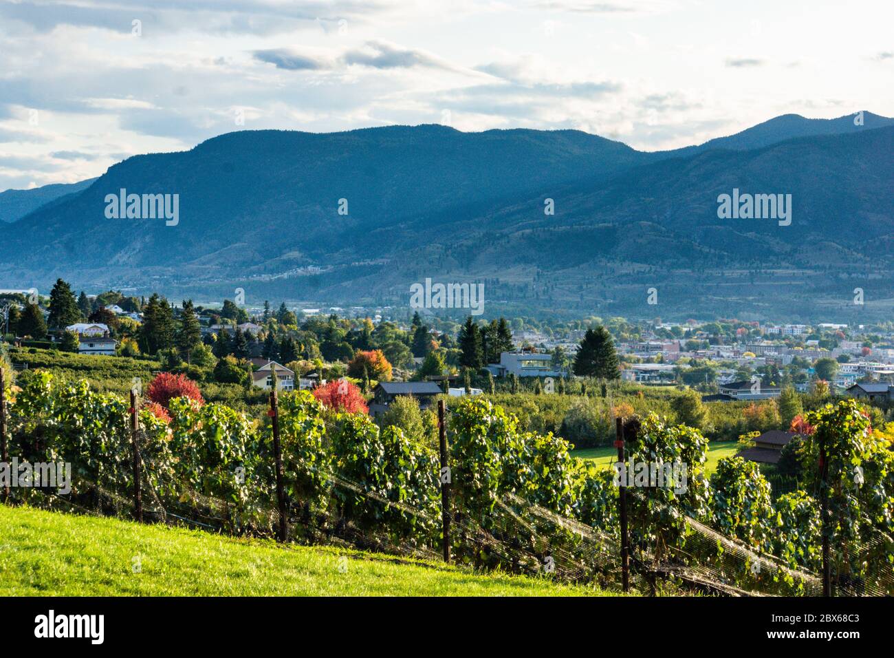 Vue sur le paysage du banc de Naramata le long du lac Okanagan Banque D'Images