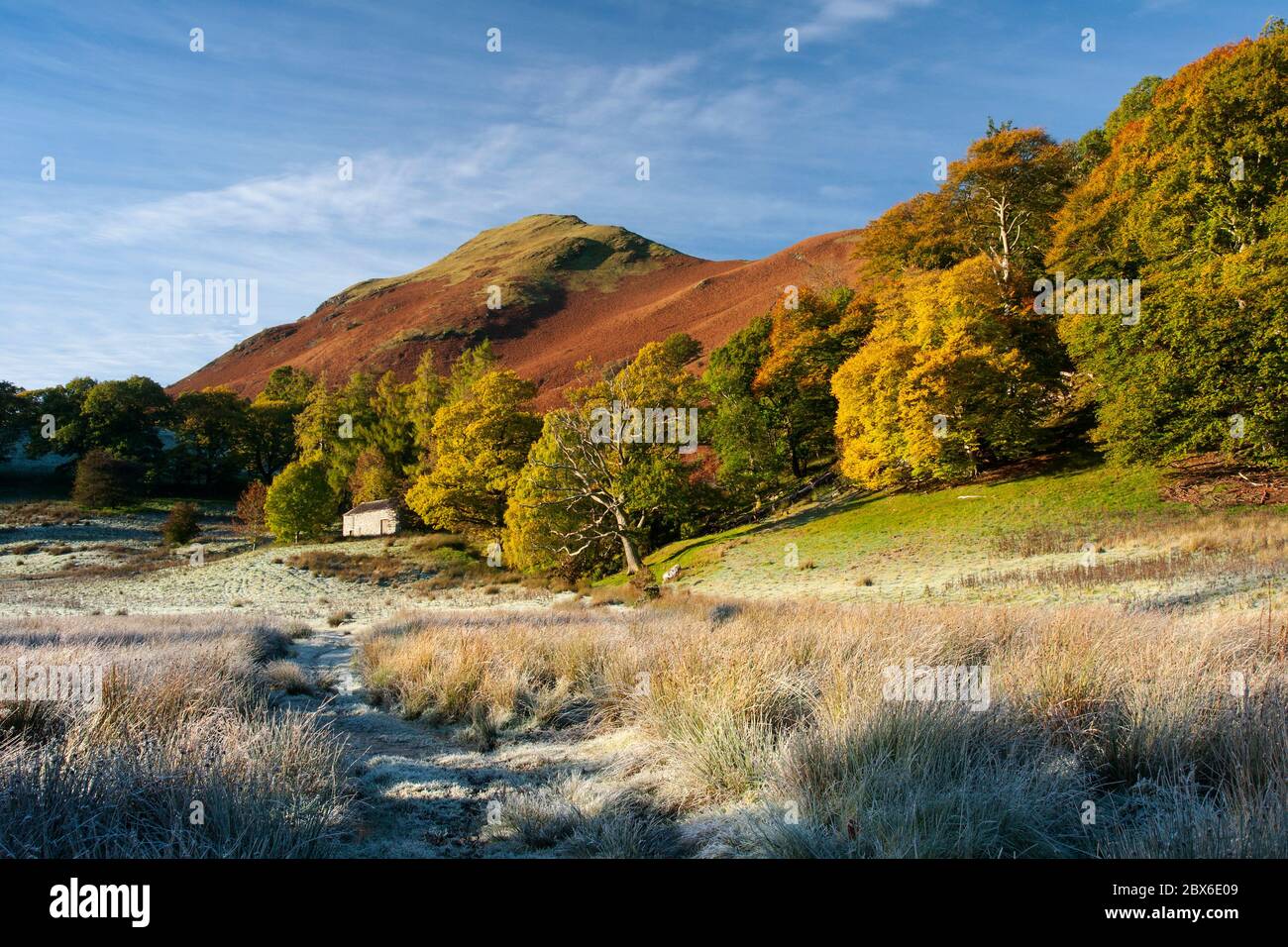 Couleurs d'automne et une grange traditionnelle vue de Brandelhow regardant Catbells est tombée. Près de Derwentwater, le parc national du Lake District, Angleterre. Banque D'Images