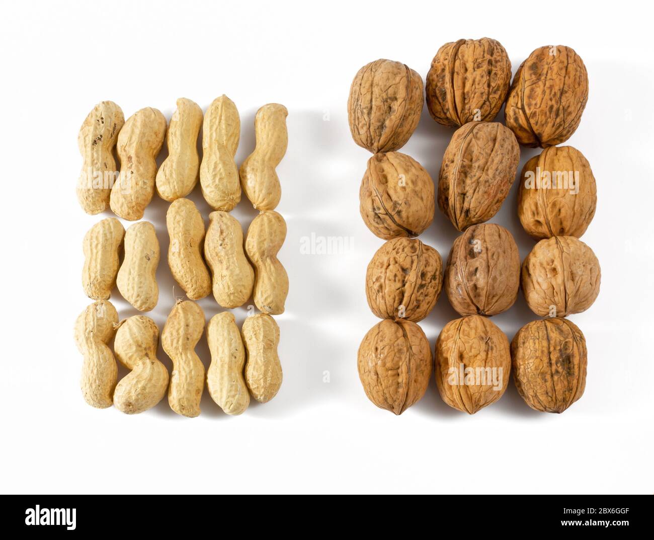 Un ensemble de quinze arachides à côté d'un ensemble de douze noix sur fond blanc Banque D'Images