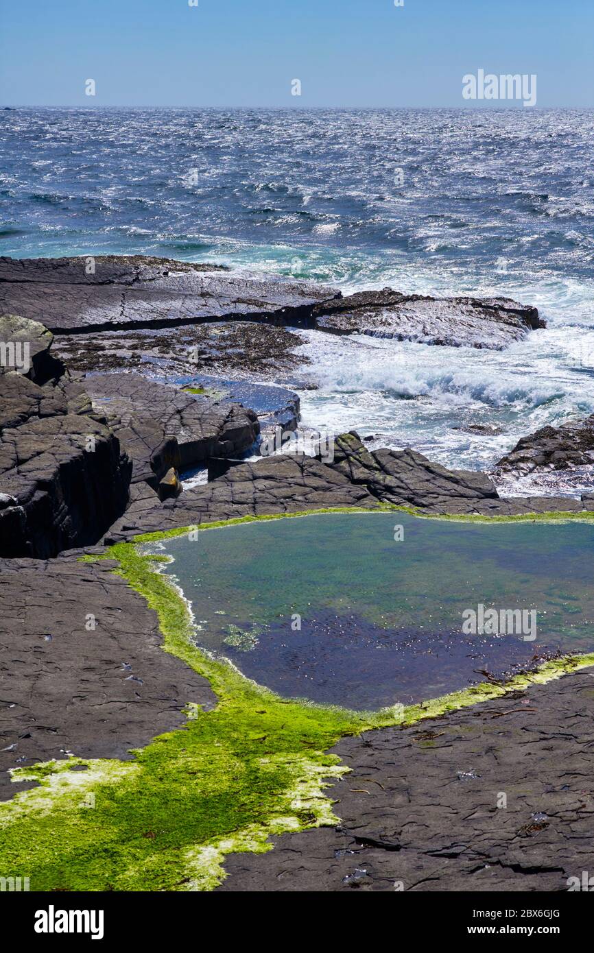 Séchage de l'eau de mer sur des roches calcaires à Scarlett point, Casltetown, île de Man Banque D'Images