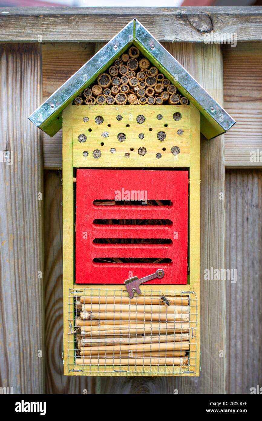 Un petit hôtel écologique avec une abeille sauvage au fond, monté sur une clôture. Hôtel écologique et écologique. Les abeilles sauvages et d'autres insectes font Banque D'Images