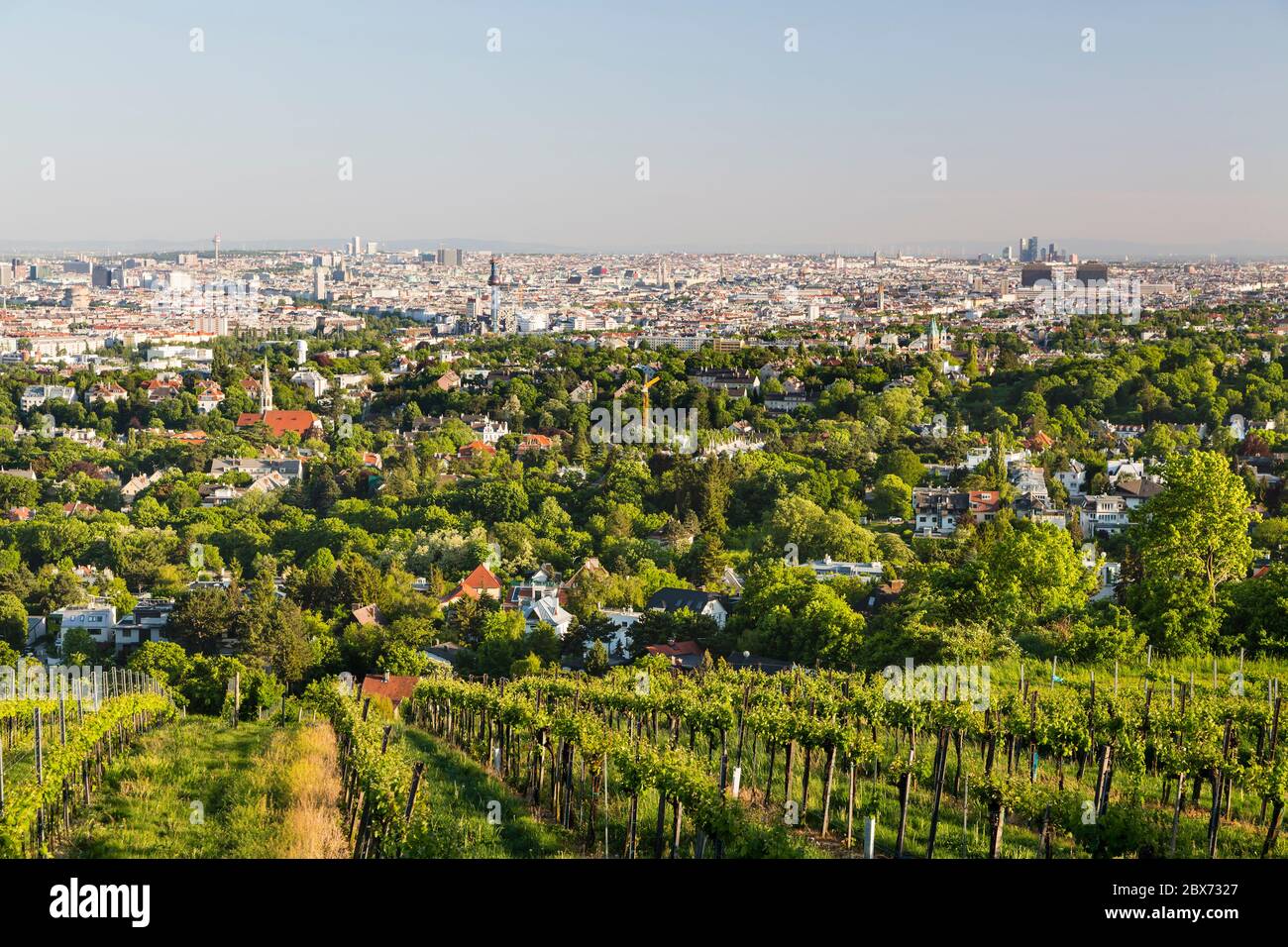 Vue depuis une colline de vignoble sur le centre-ville de Vienne, Autriche. Banque D'Images
