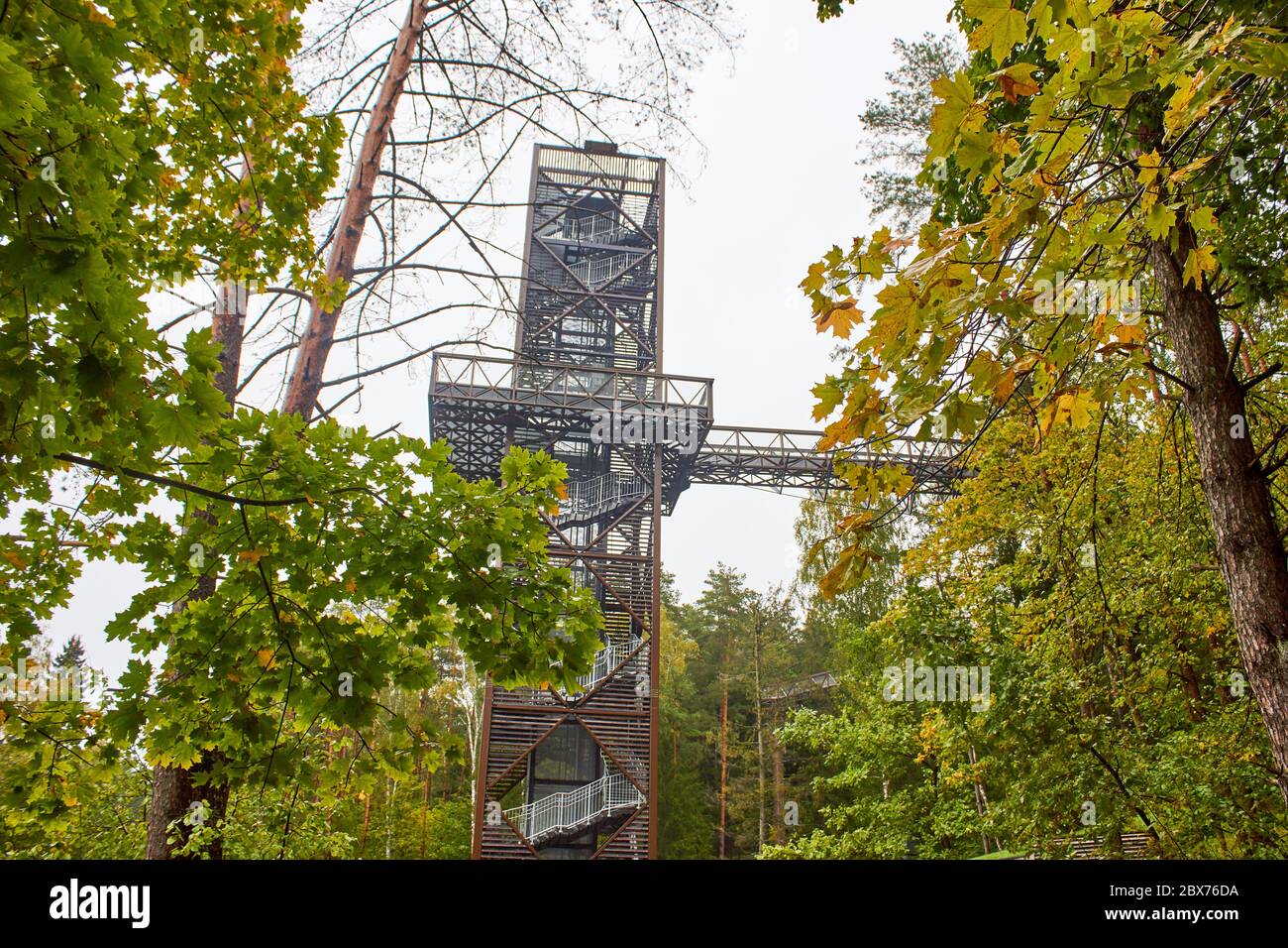 Tour d'observation et pont à lui dans la forêt Banque D'Images