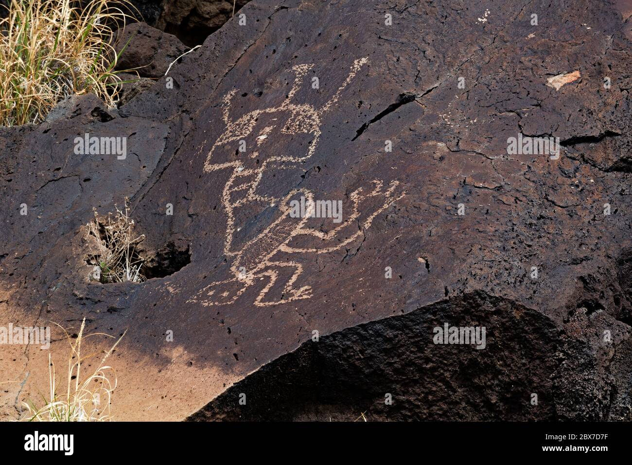 NM00525-00...NOUVEAU MEXIQUE - UNE figure mystique a pecté dans le vernis du désert sur une roche basaltique dans le monument national de Petroglyph. Banque D'Images