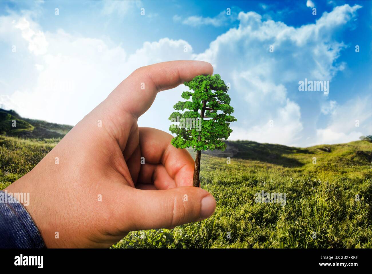 Main mâle dans une chemise tenant et plantant un petit arbre sur un fond de paysage ensoleillé, vue de la première personne. Banque D'Images