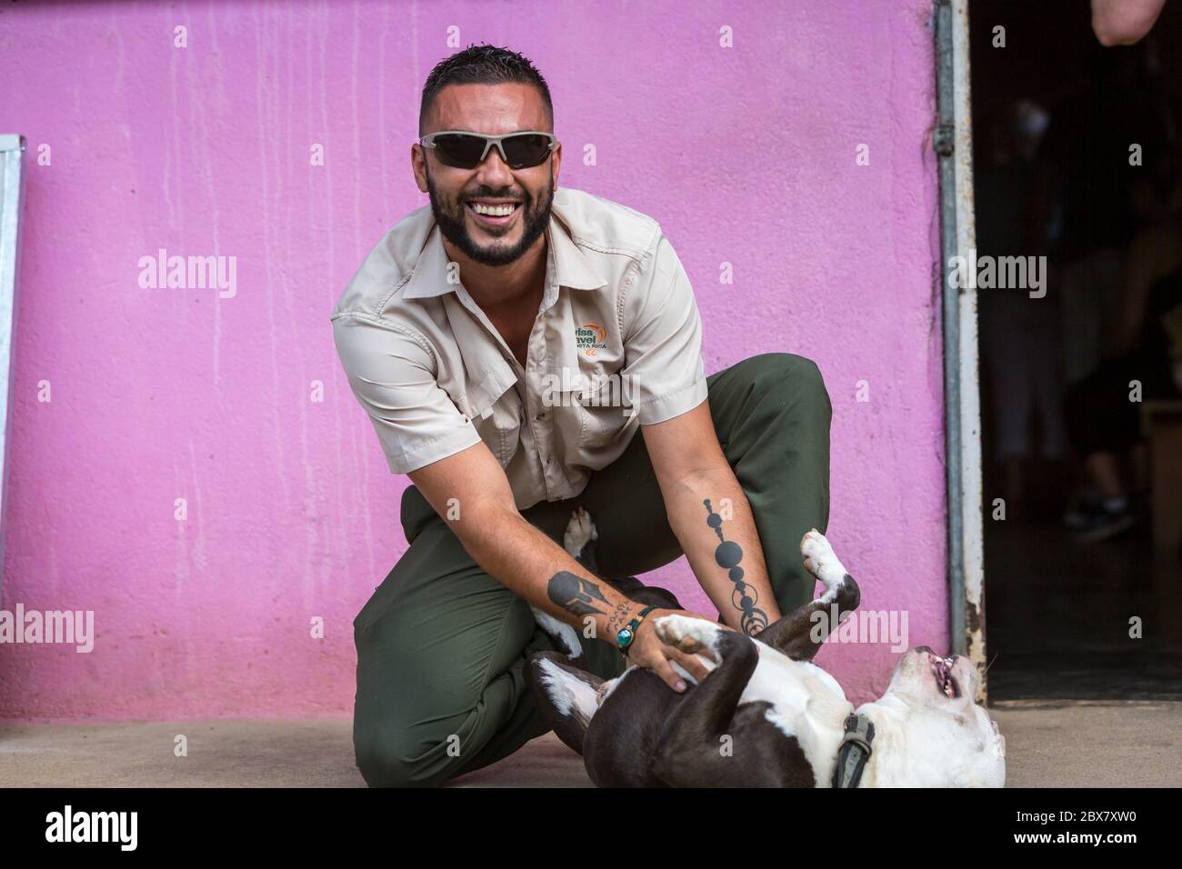 Homme jouant avec Pit Bull Terrier, dos Rios, Costa Rica Banque D'Images