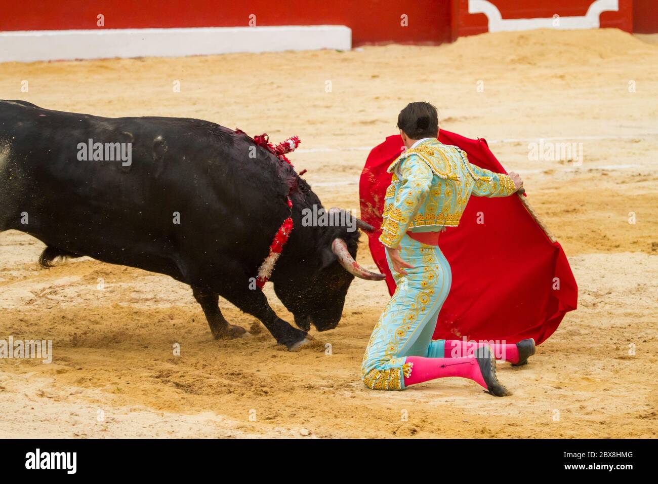 Torero Banque D'Images