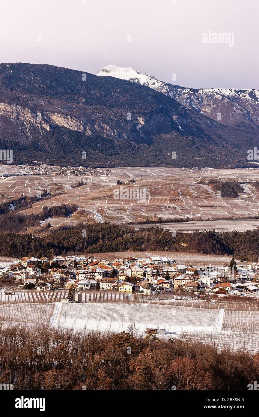 Village de Val di non et TOS en hiver, vallée avec neige et champs agricoles de pommes et de raisins dans la province de trente, Trentin-Haut-Adige, Italie, UE Banque D'Images