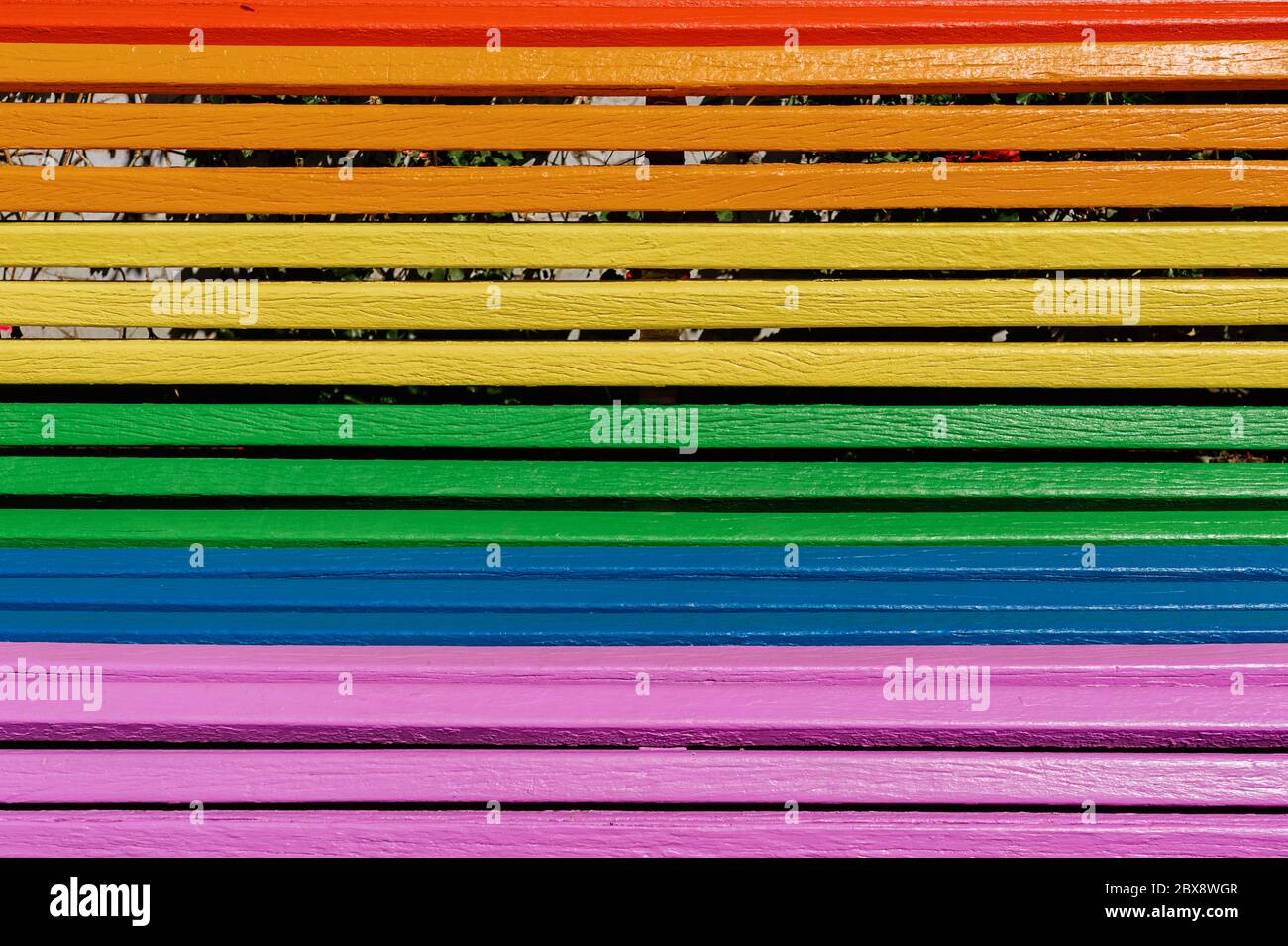 Gros plan d'un banc en bois peint avec les couleurs du drapeau LGTB. Concept minimaliste Banque D'Images