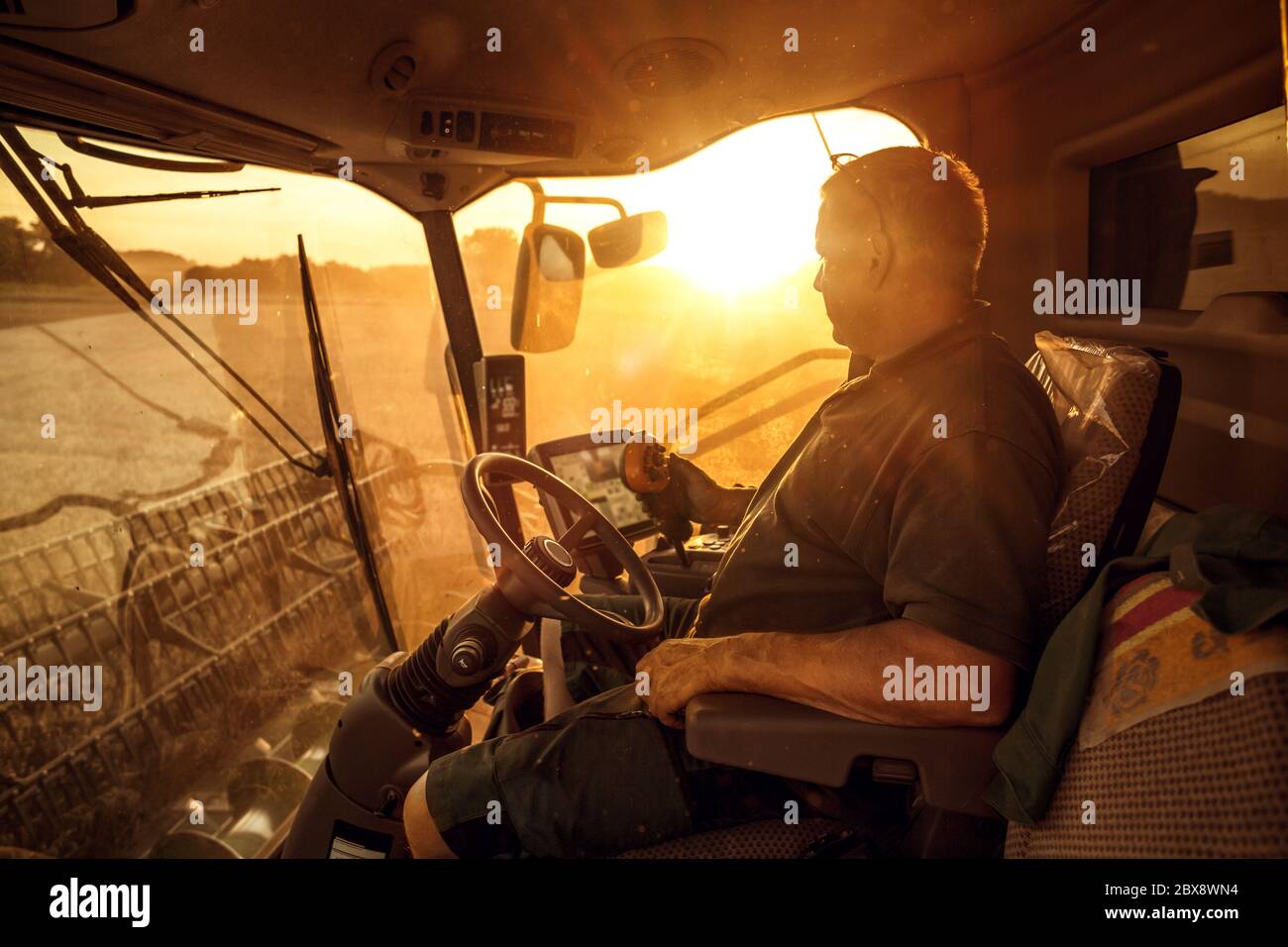 Opérateur à l'intérieur d'une moissonneuse-batteuse au coucher du soleil Banque D'Images