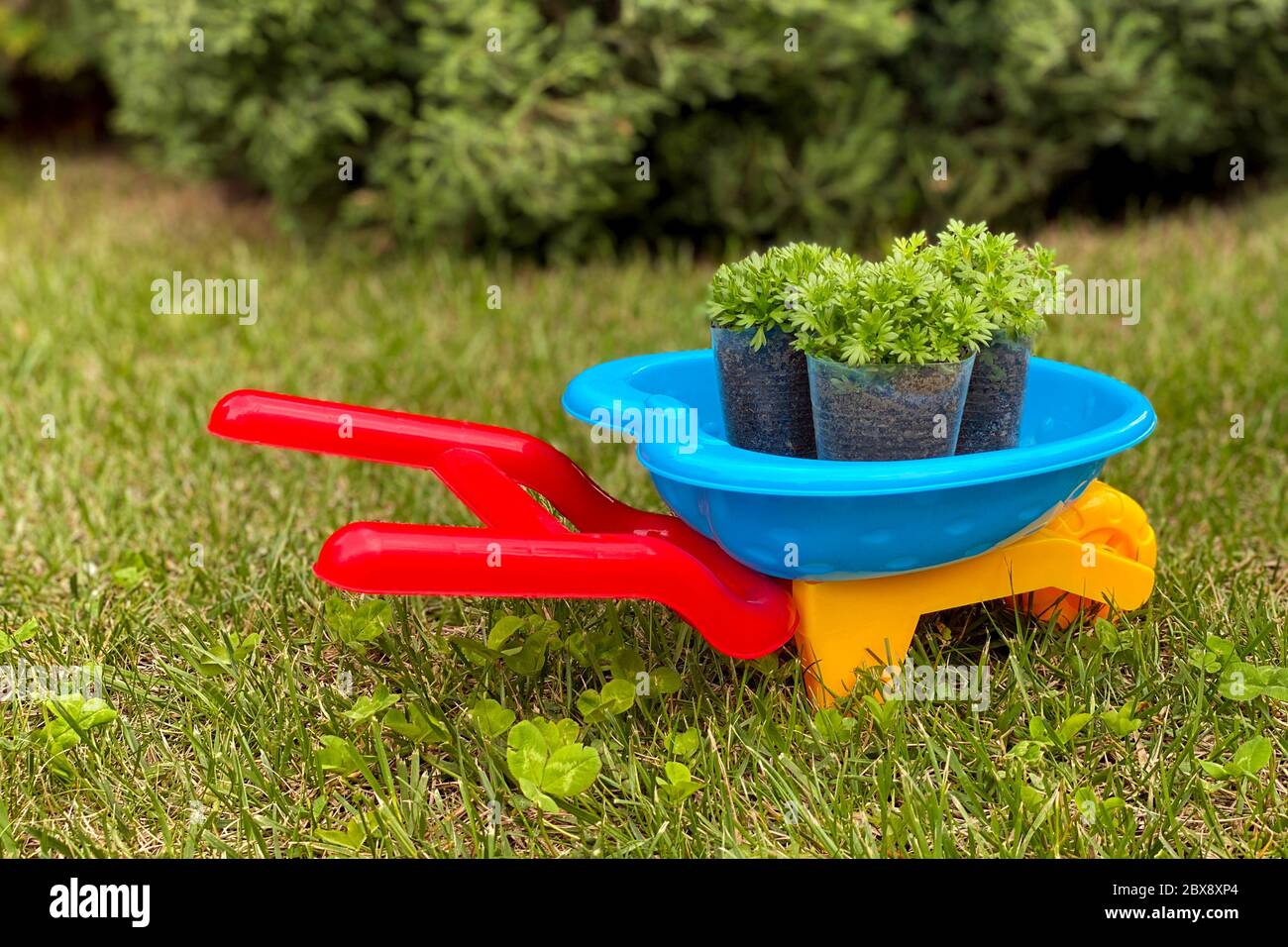 Chariot de jardin coloré pour enfants avec des plants concept de jardinage familial Banque D'Images