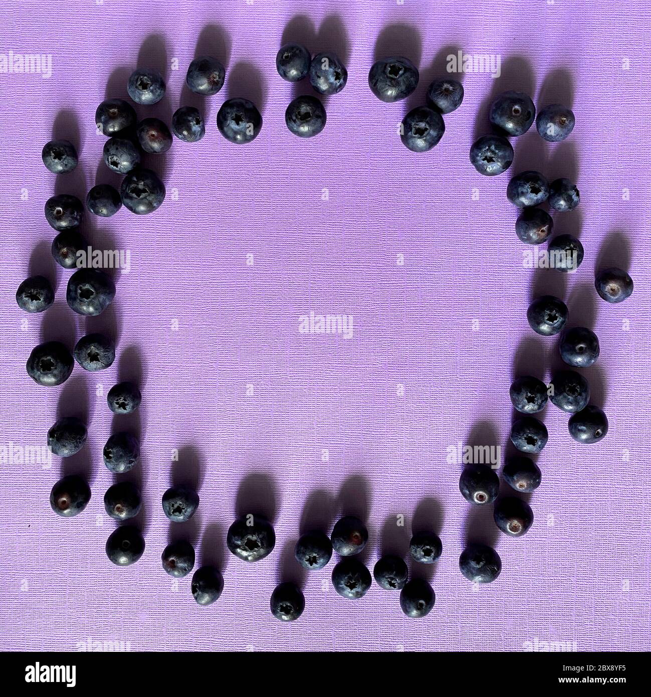 Bleuets fraîchement cueillis et mûrs en gros plan. Baies en gros plan Banque D'Images