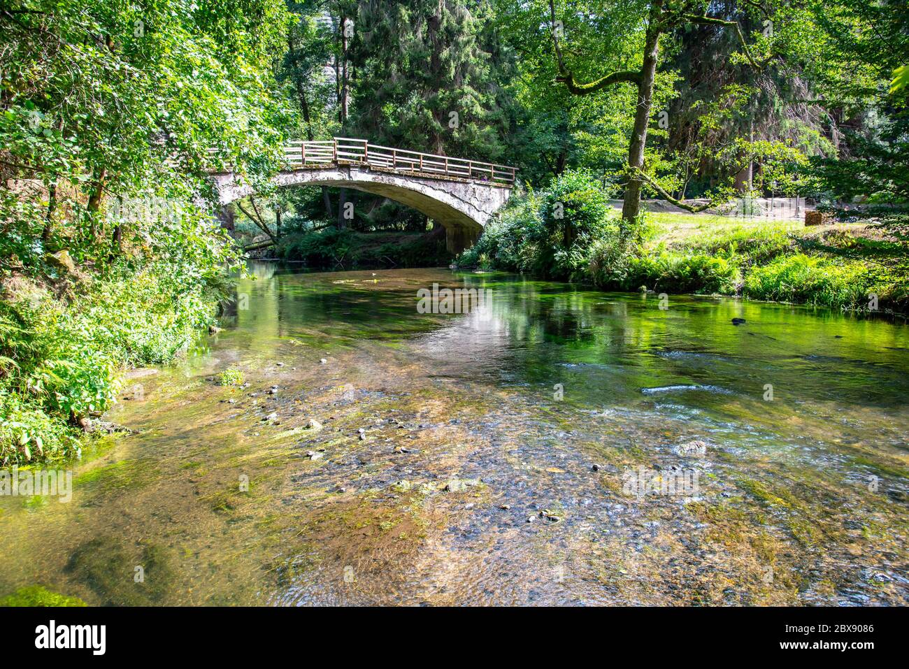 Pont sur le fleuve Kamenice dans le parc national de la Suisse de Bohême, République tchèque. Banque D'Images