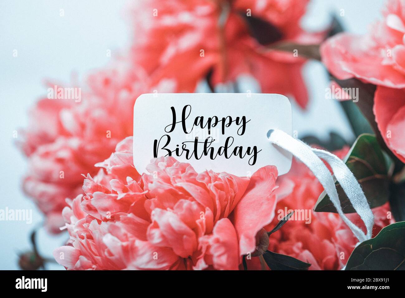Carte De Voeux Pour Joyeux Anniversaire Sur Fleur Rose Fleurs Roses Et Petales De Fond Photo Stock Alamy Carte De Voeux Pour Joyeux Anniversaire Sur Fleur Rose Fleurs Roses Et Petales De Fond Photo Stock Alamy