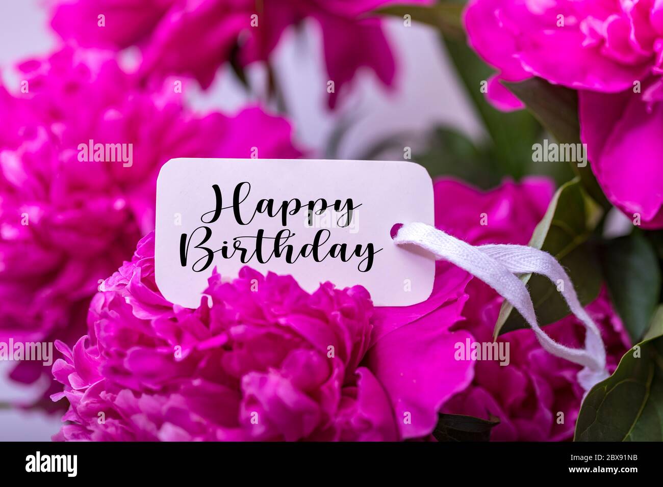 Carte De Voeux Pour Joyeux Anniversaire Sur Fleur Rose Fleurs Roses Et Petales De Fond Photo Stock Alamy