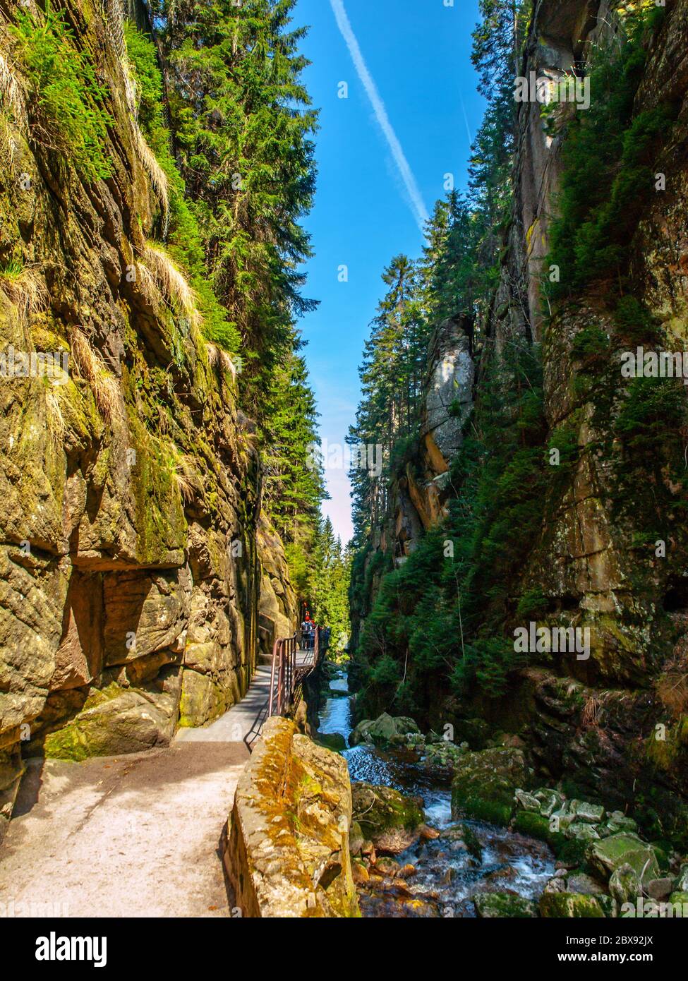 Gorge étroite sous la cascade de Kamienczyk dans les montagnes Giant, Pologne. Banque D'Images