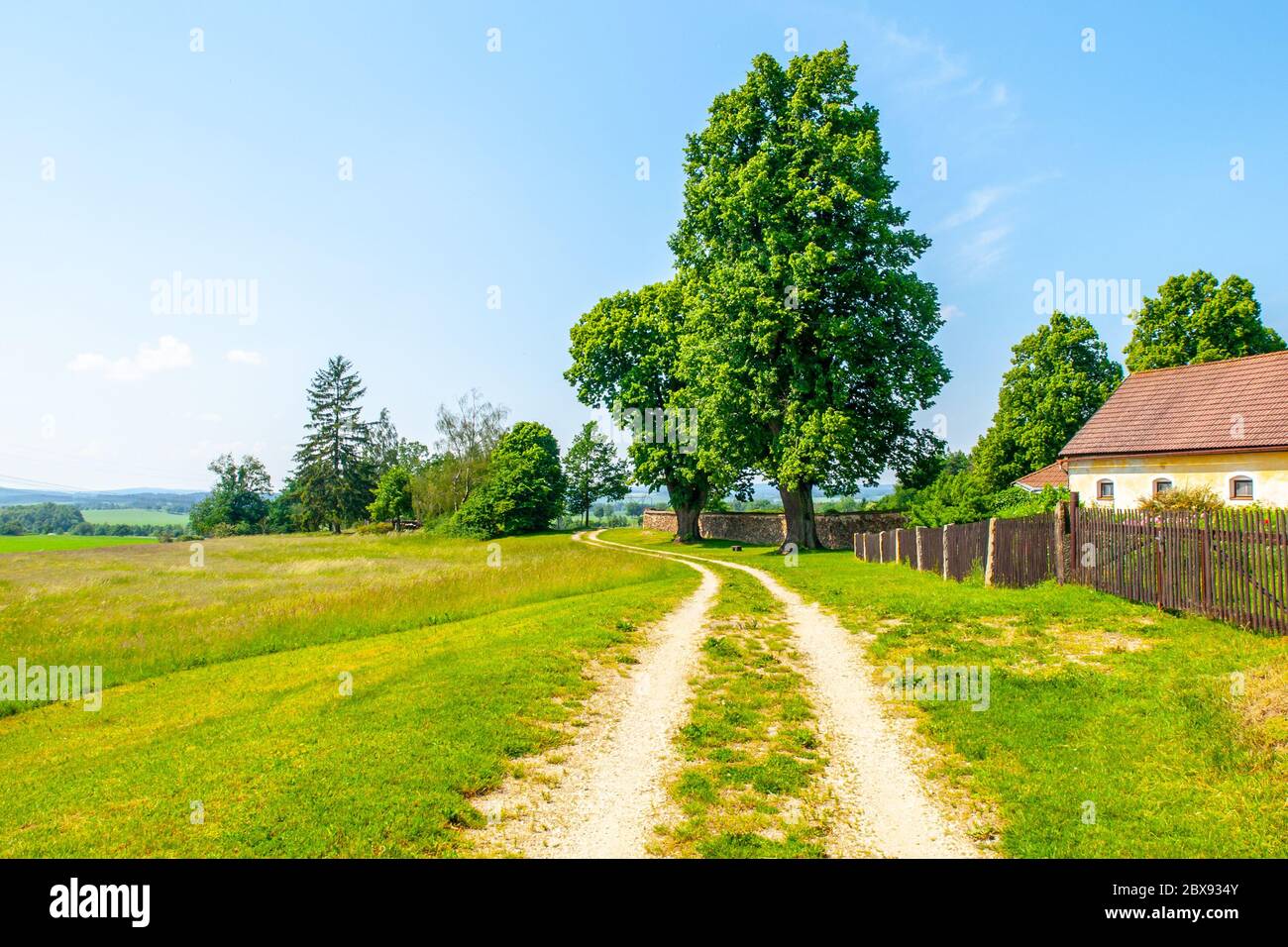 Paysage rural tchèque. Arbres verts à feuilles près de la route de campagne. Un endroit idyllique pour se reposer. Banque D'Images
