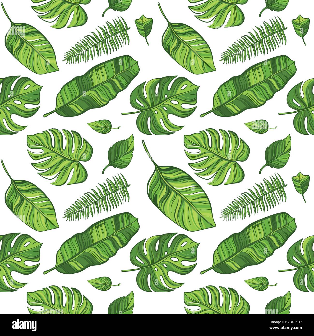 Motif vectoriel tropical sans couture avec feuilles de palmier exotiques sur fond blanc . Illustration de Vecteur