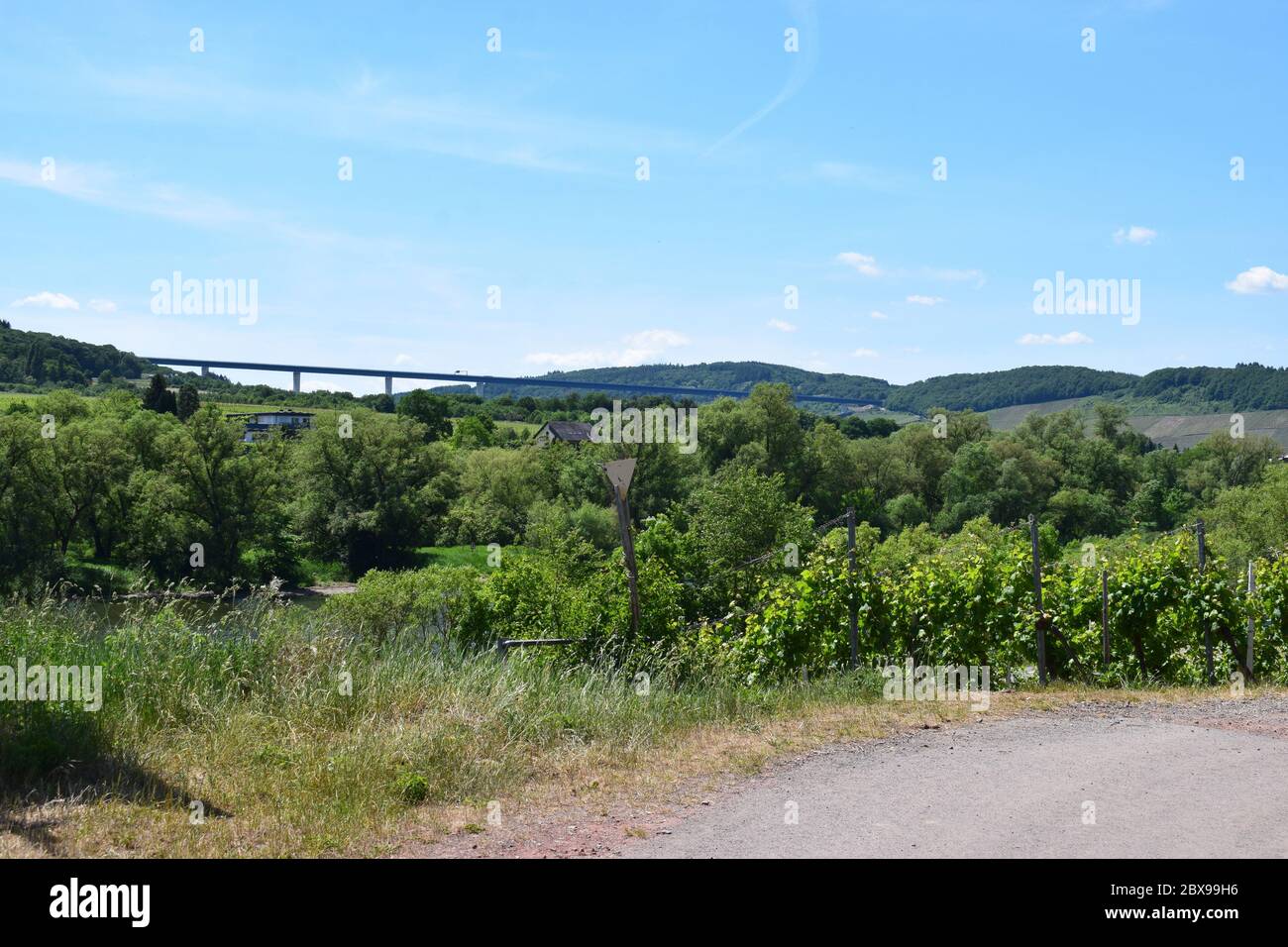 Blick über das Moseltal mit Hochmoselübergang Banque D'Images