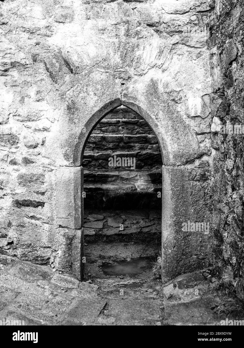 Ancienne porte d'arc gothique dans la ruine du château en pierre médiévale. Image en noir et blanc. Banque D'Images