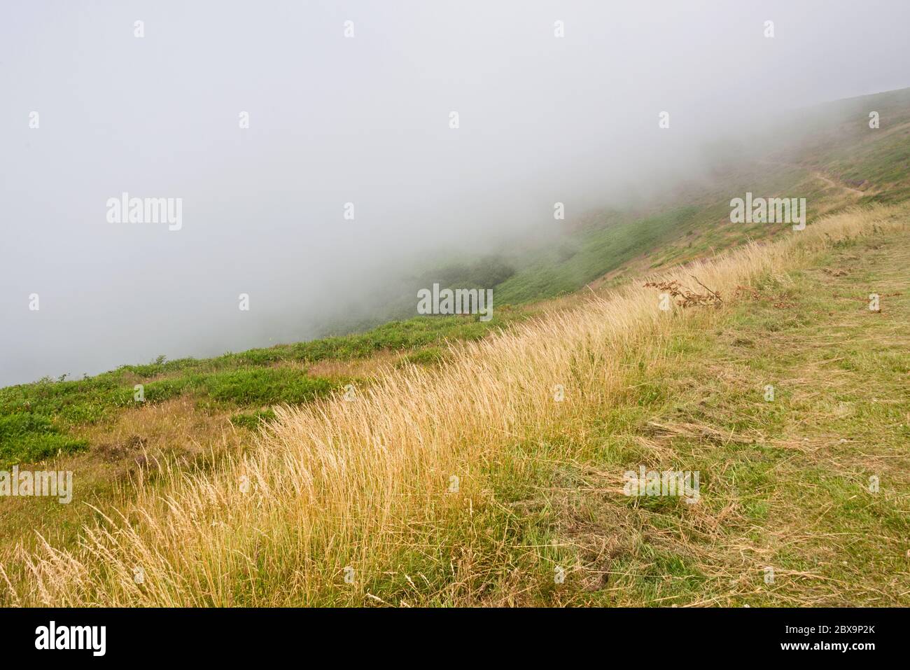 Brume qui se balade sur la colline de Cosgate près du parc automobile de County Gate sur l'A39 Somerset, Angleterre, lors d'un beau jour d'été. Partie du Parc National d'Exmoor Banque D'Images