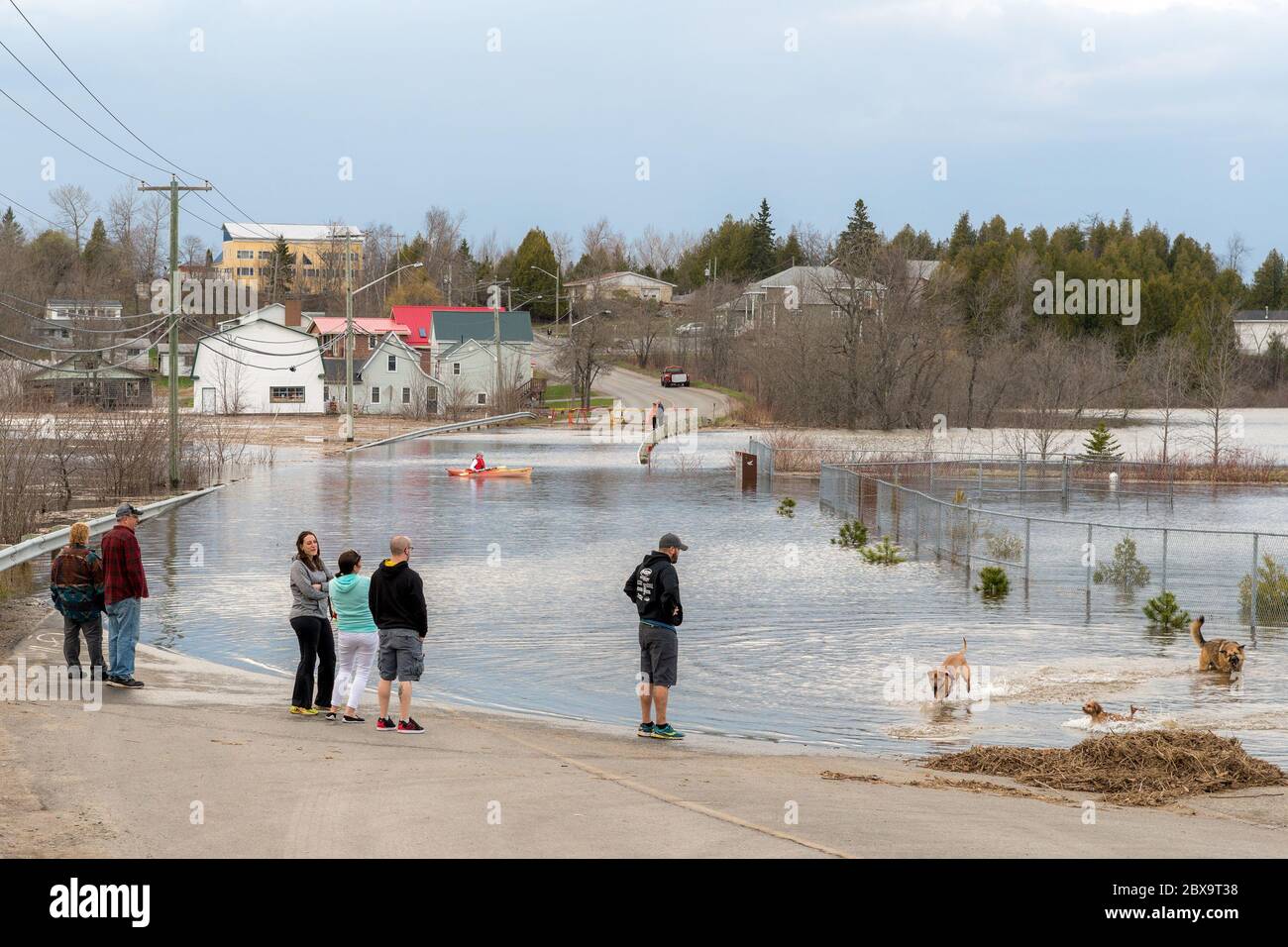 Saint John, Nouveau-Brunswick, Canada - le 2 mai 2018 : les gens se tiennent sur une route inondée pendant que les chiens jouent dans l'eau. Un kayak est au milieu de la route. Banque D'Images