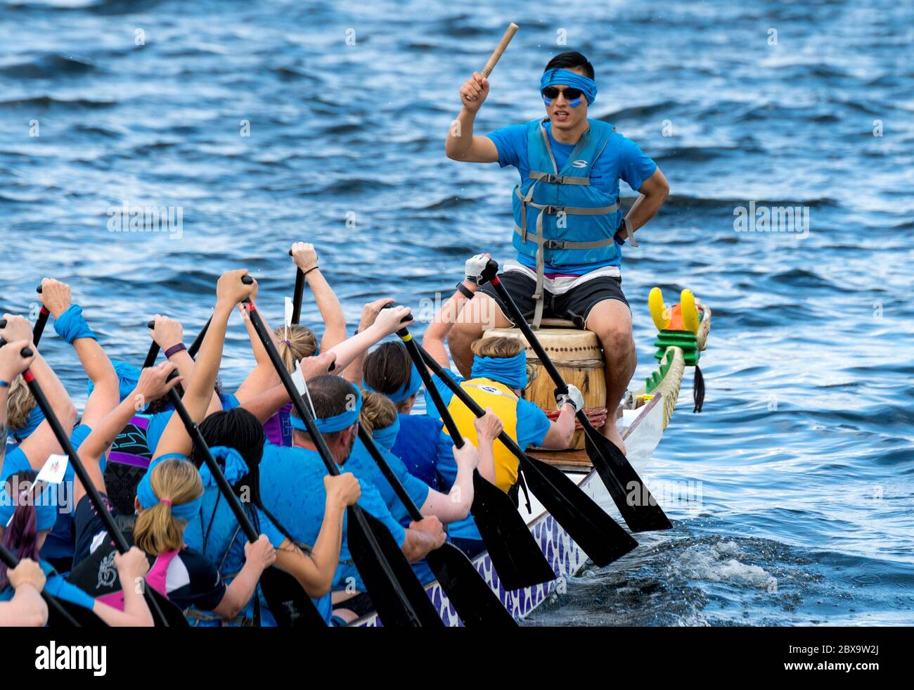 Saint John, Nouveau-Brunswick, Canada - 26 août 2017 : Festival des bateaux-dragons. Les gens pagayez sur l'un des bateaux-dragons. Un batteur bat le temps à l'avant. Banque D'Images