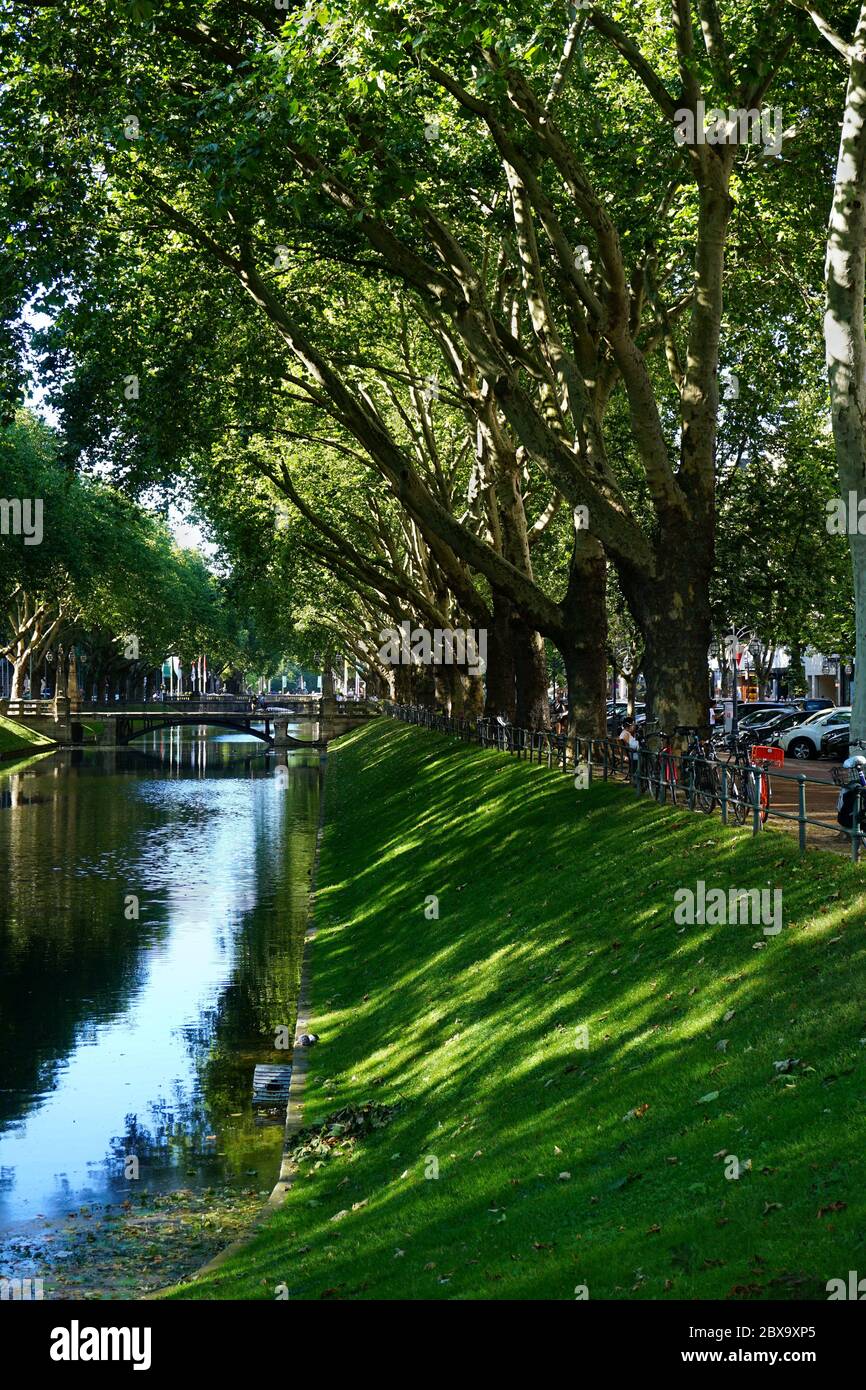 'Urban green': 'Le 'lumière-Graben', le canal de Düsseldorf sur le boulevard commerçant de luxe 'Königsallee' avec ses vieux platanes et châtaigniers. Banque D'Images