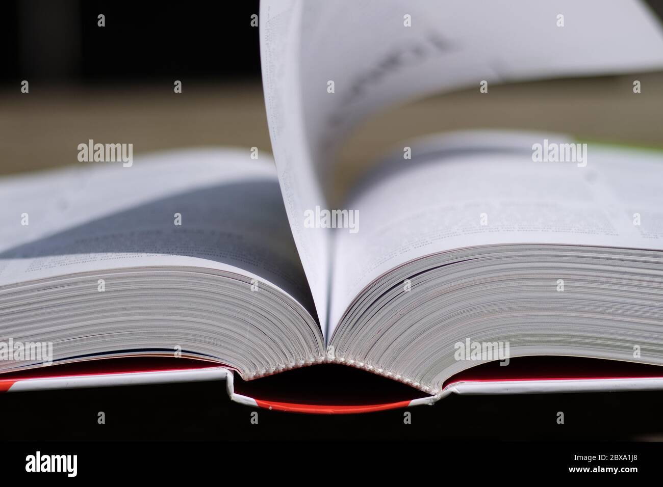 Livre ouvert avec livre blanc rouge couverture avec une page qui se transforme sur un arrière-plan flou Banque D'Images