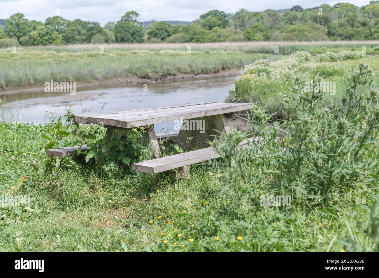 Vider la table de pique-nique publique au soleil au bord des eaux de la rivière Fowey à Lostwhiel, métaphore vider les espaces publics pendant le confinement de Covid-10. Banque D'Images