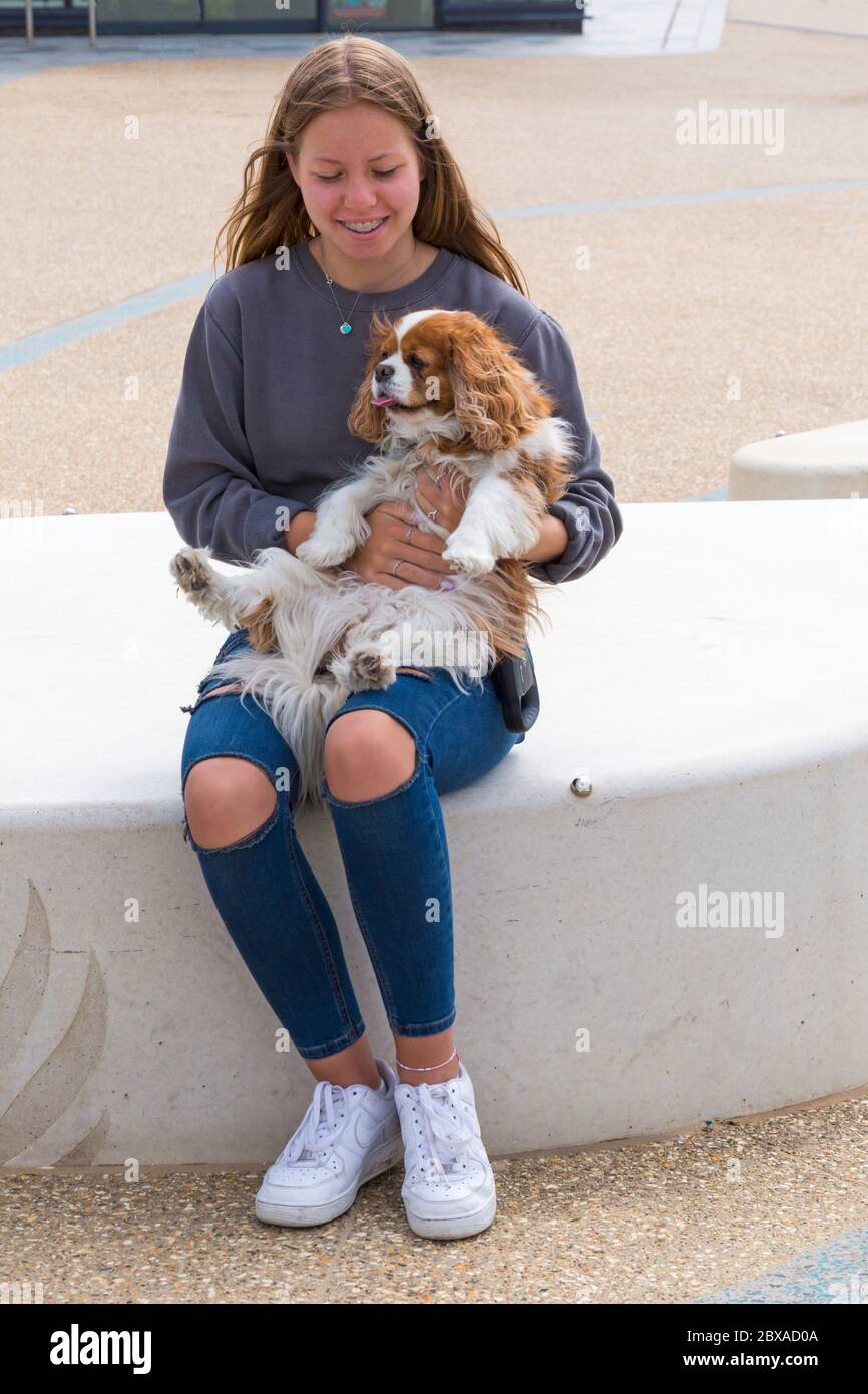 Une adolescente tenant le chien d'Espagne du roi Charles cavalier, le chien d'Espagne du cavalier King Charles, sur ses genoux à Pier Approach, Bournemouth, Dorset, Royaume-Uni, en juin Banque D'Images