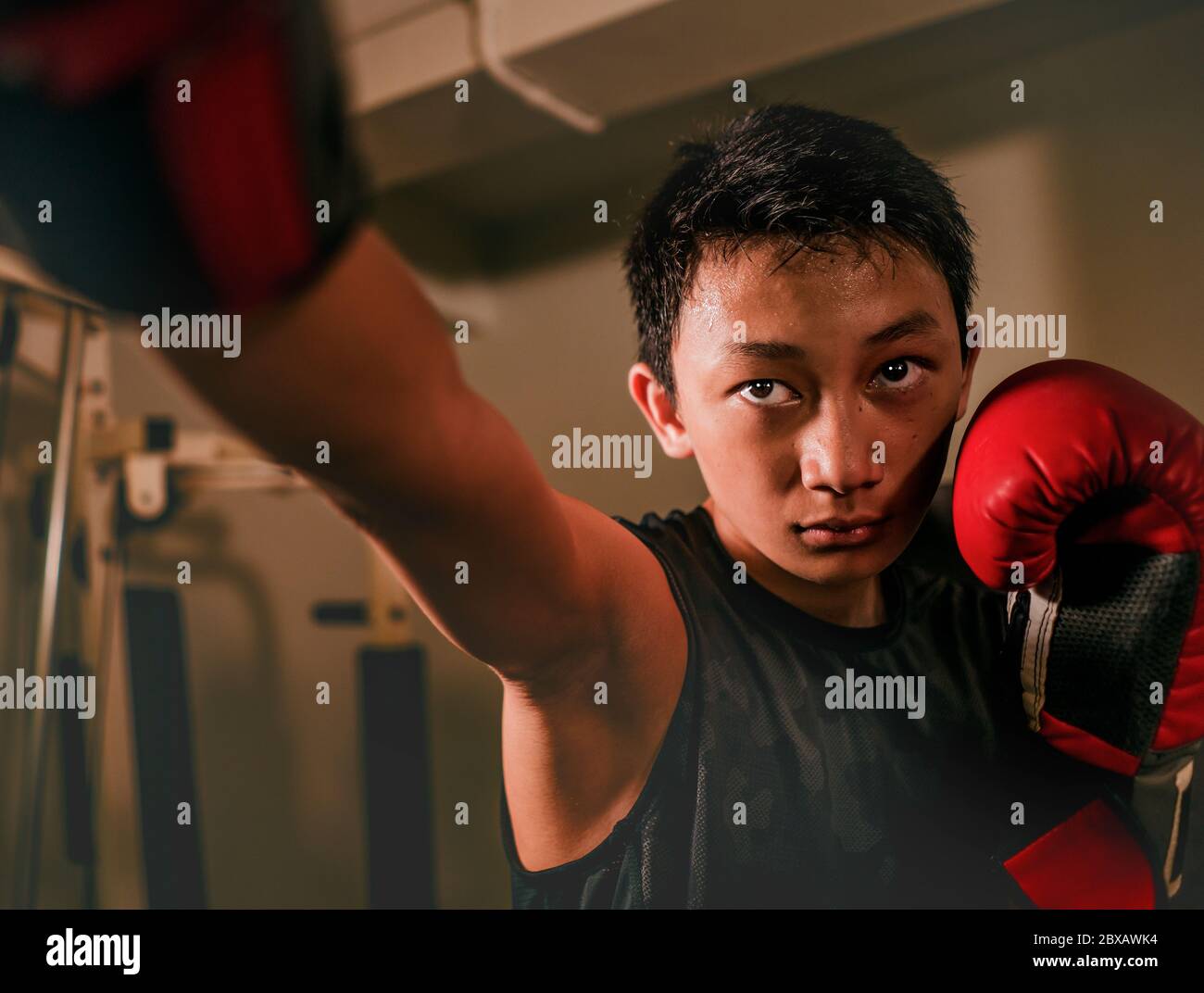 Boxing kid boy punching bag Banque de photographies et d’images à haute