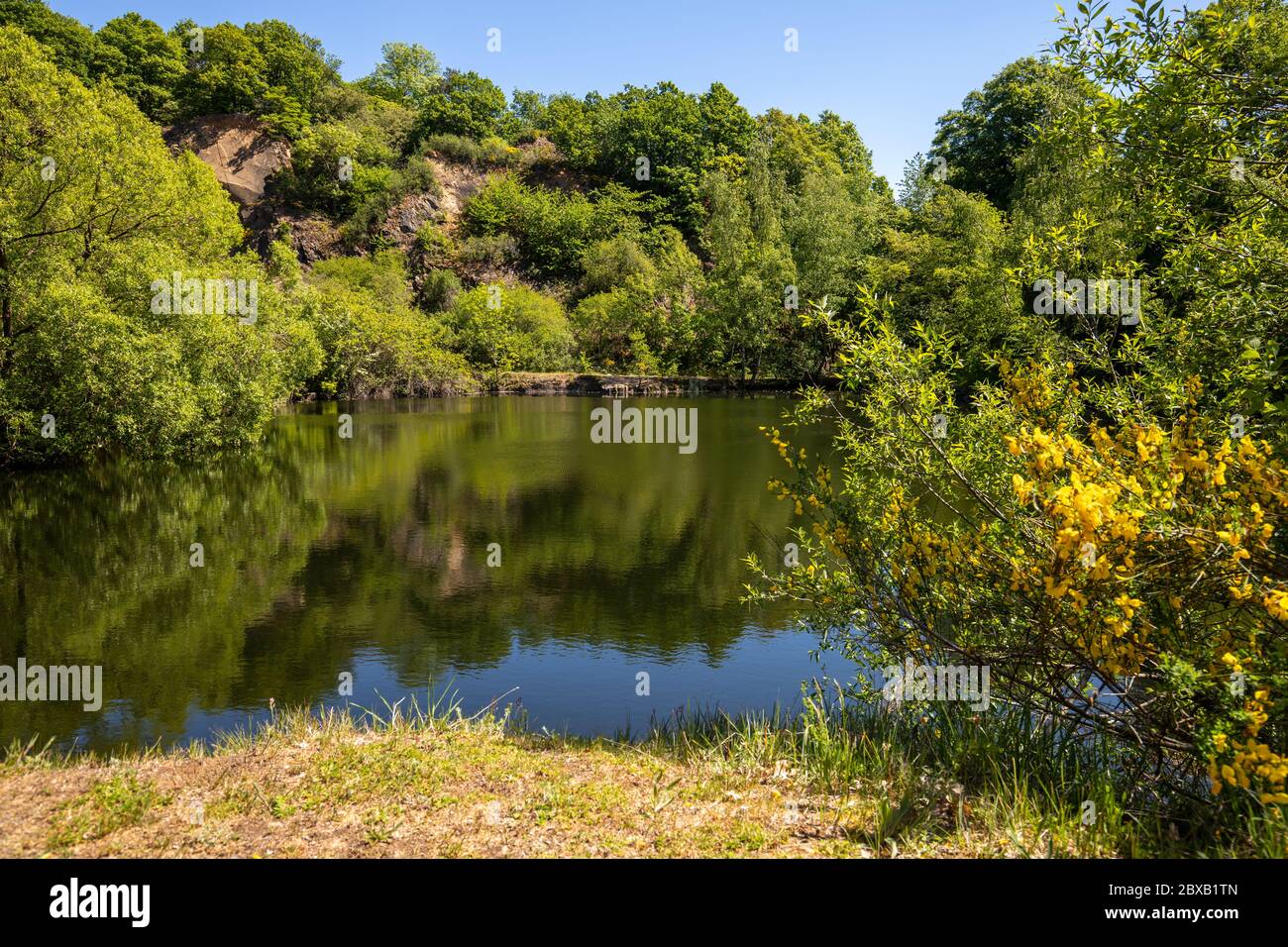 Vue panoramique sur le lac d'argent sur la montagne Lemberg, Rhénanie-Palatinat, Allemagne Banque D'Images