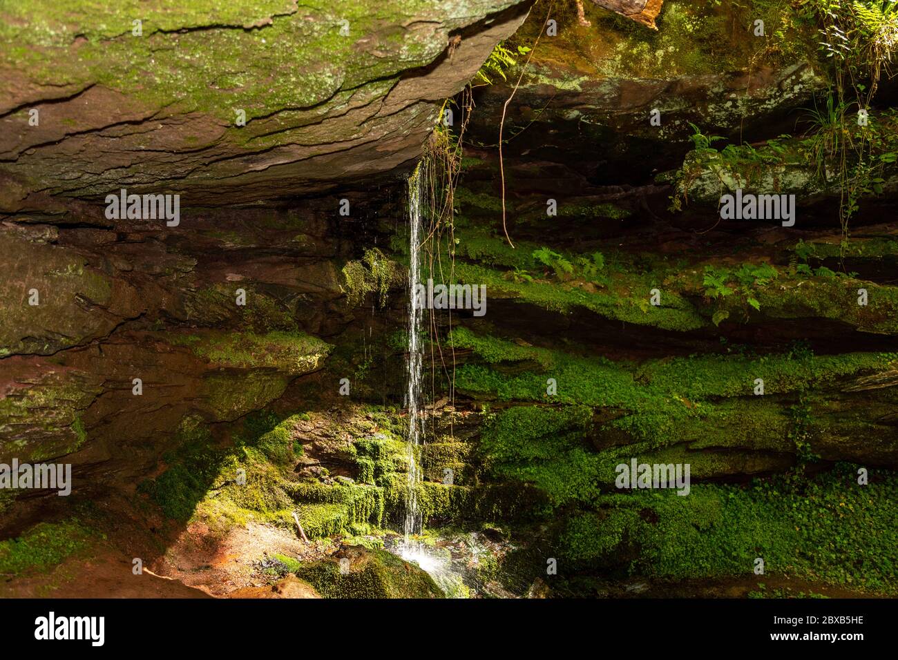 Eau qui coule sur des rochers recouverts de mousse dans le canyon Hexenklamm Banque D'Images