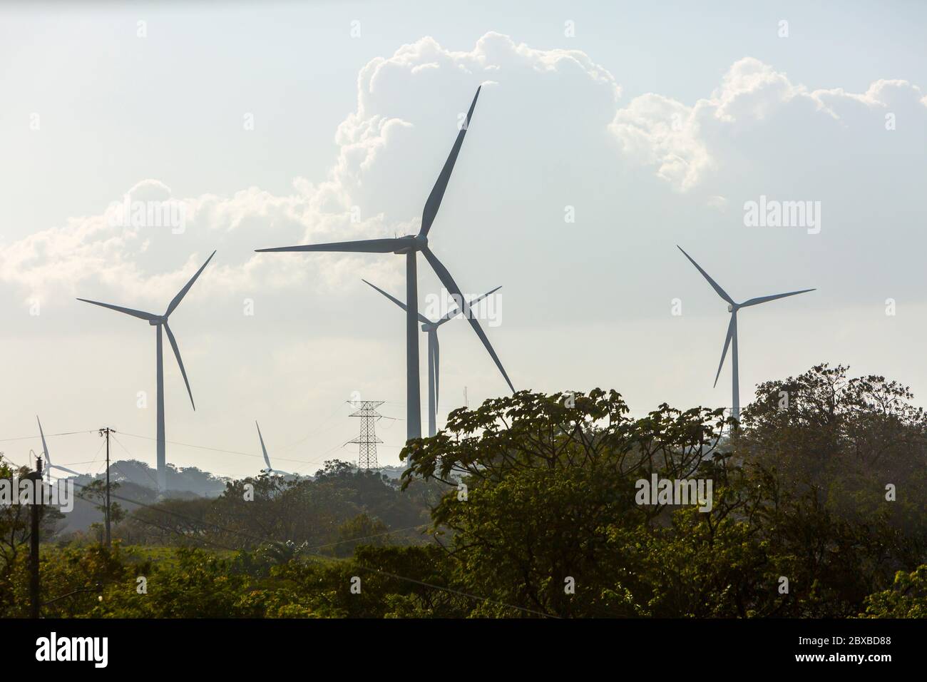 Éoliennes, province de Guanacaste, nord du Costa Rica, Amérique centrale, Costa Rica fournit la plupart de ses besoins en électricité par le biais d'énergies alternatives Banque D'Images