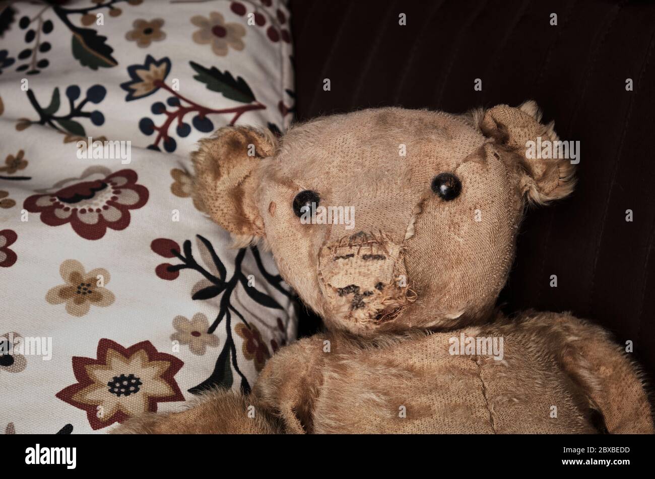 Un ours en peluche usé et bien utilisé au tournant des années 1900. Probablement un ours en peluche original assis sur des oreillers regardant l'appareil photo. Banque D'Images