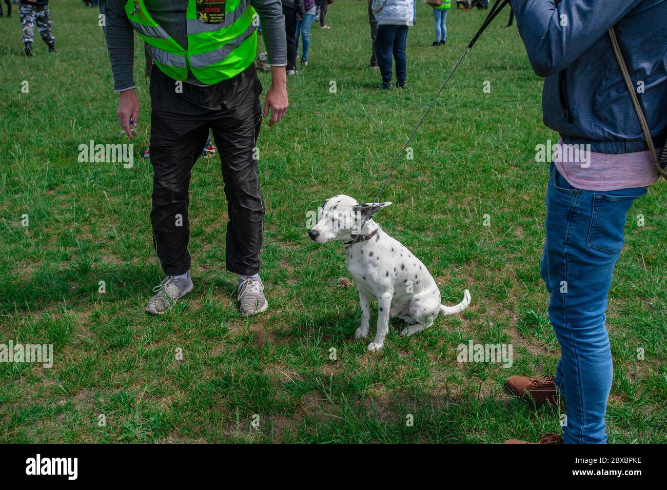 Malieveld, la Haye, pays-Bas. Samedi 6 juin 2020. C'est la deuxième démonstration de ce type en autant de semaines. La manifestation qui s'est tenue samedi dernier sur le Koekamp, à la Haye, a été brutalement mise fin par le maire par intérim Johan Kemkes; lorsque le nombre de manifesteurs autorisés a dépassé la directive gouvernementale de 30 socialement distancés. Leur argument aujourd’hui : « si le gouvernement avait permis une réunion de 5000 manifestants sur la place du Dam à Amsterdam, nous aussi pouvons nous rassembler en masse. Crédit : Charles M Vella/Alay Live News Banque D'Images
