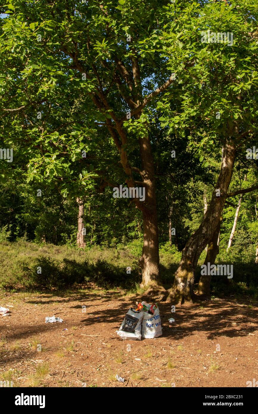 Pique-nique déchets mis au rebut de façon décontractée sous l'arbre dans un parc ouvert sans souci pour l'environnement Banque D'Images