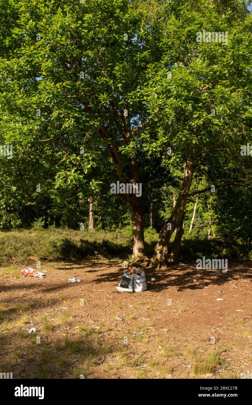 Pique-nique déchets mis au rebut de façon décontractée sous l'arbre dans un parc ouvert sans souci pour l'environnement Banque D'Images