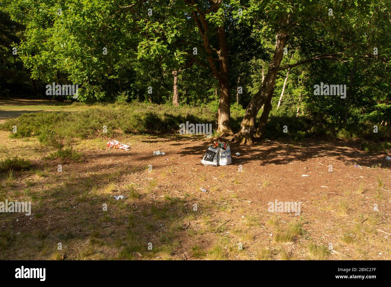 Pique-nique déchets mis au rebut de façon décontractée sous l'arbre dans un parc ouvert sans souci pour l'environnement Banque D'Images
