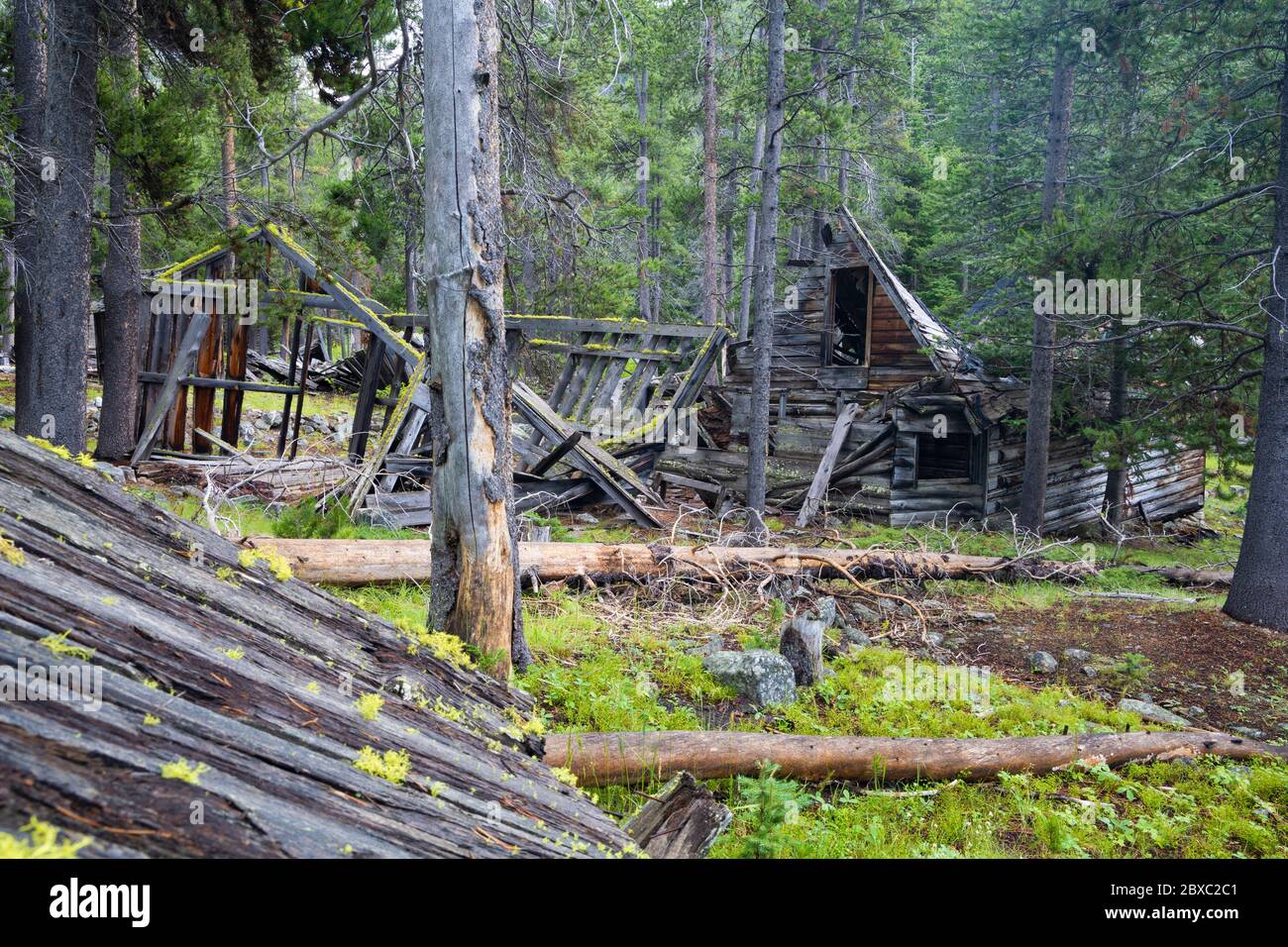 Les bâtiments en bois s'effondrent dans la ville fantôme de l'exploitation minière de l'argent de Coolidge, Montana. Banque D'Images